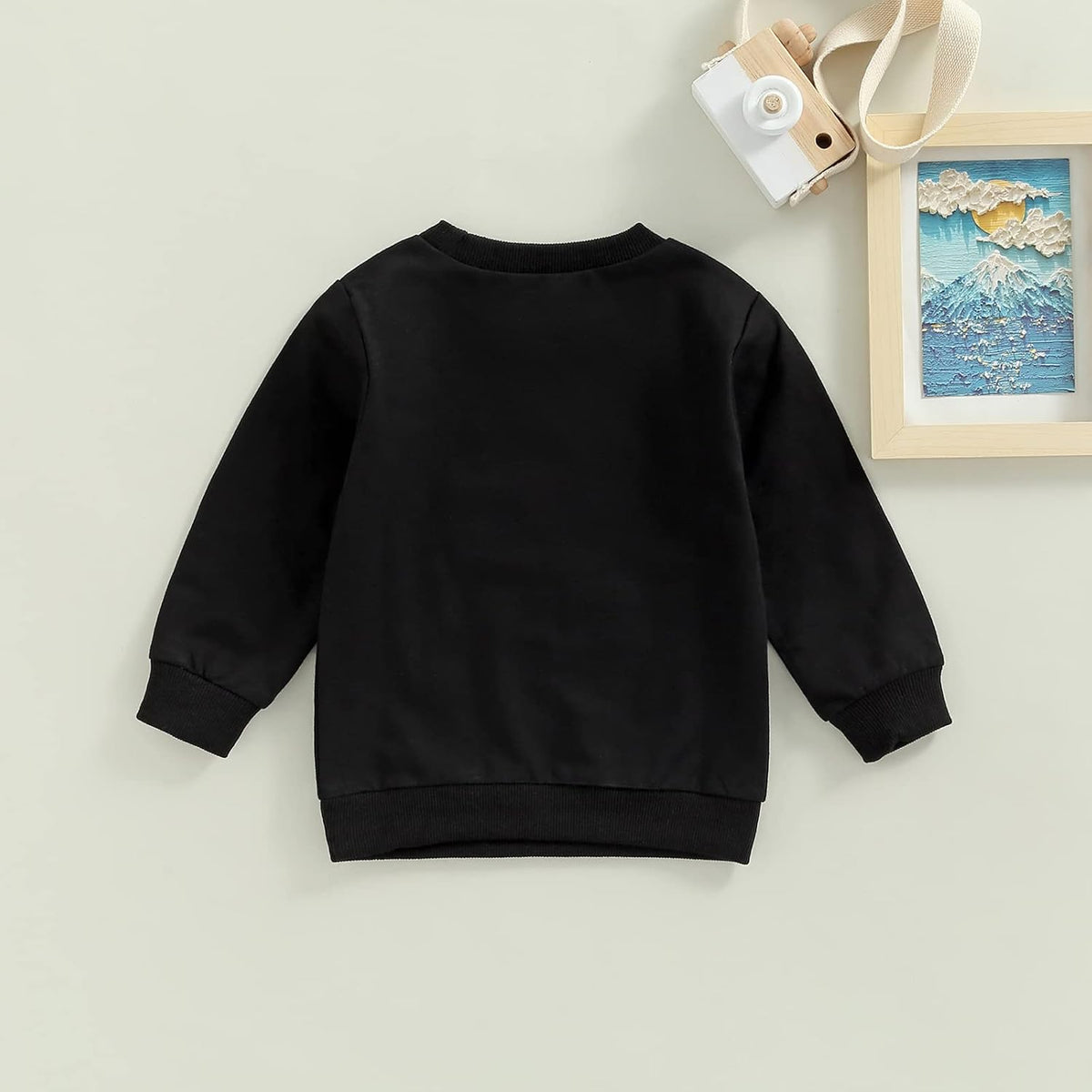 Infant Boy Sweatshirt Toddler Crewneck Sweater Newborn Baby Boy Girls Clothes Letter Printed Fall Spring Pullover Tops