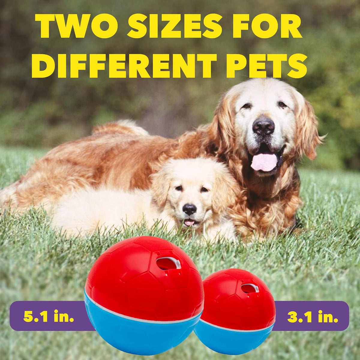 - Crazy Ball Treat Dispenser - Pets Treat Ball - Interactive Treat Dispensing Petstoy - Pets Enrichment Toys - Pets Toys to Keep Them Busy - Slow Feeder - 300G/10.5 Oz - Red/Blue